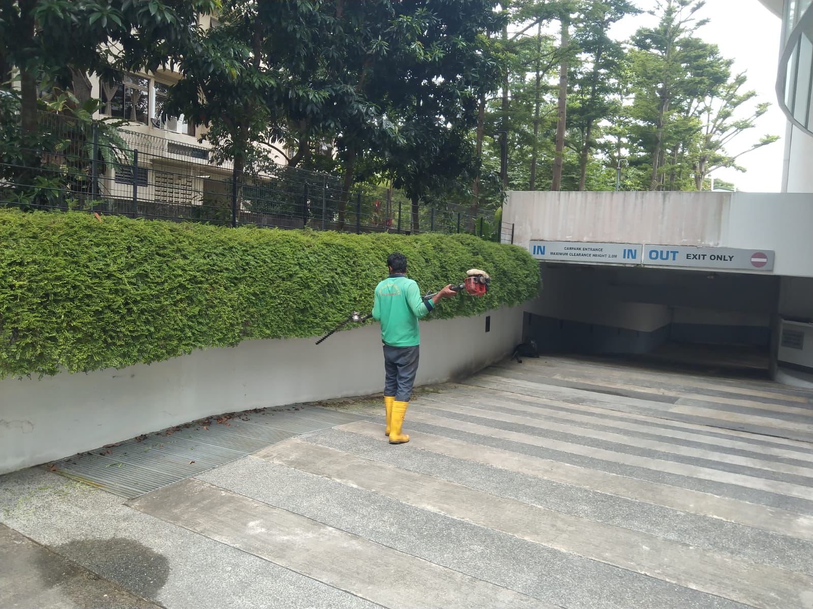 Precision Hedge Cutting
